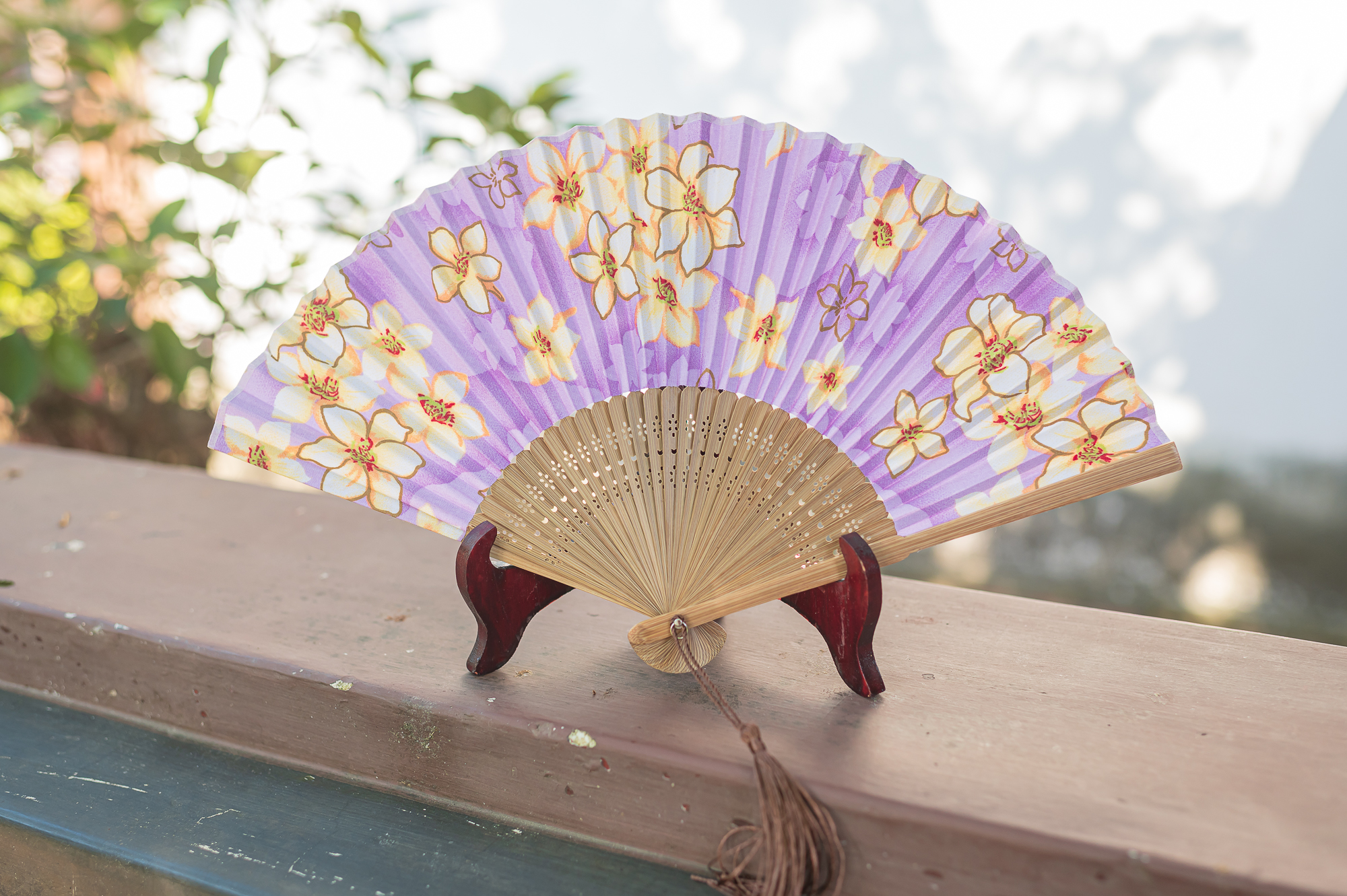 客家紫油桐摺扇